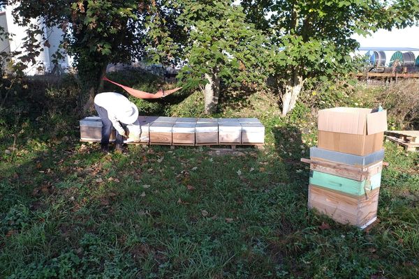 Vol de ruches, saisies par les gendarmes dans l'Aube.